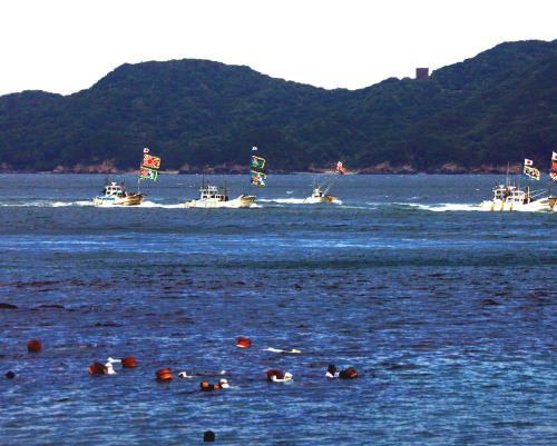 おまつりニッポン #9 海女の祭典 しろんご祭